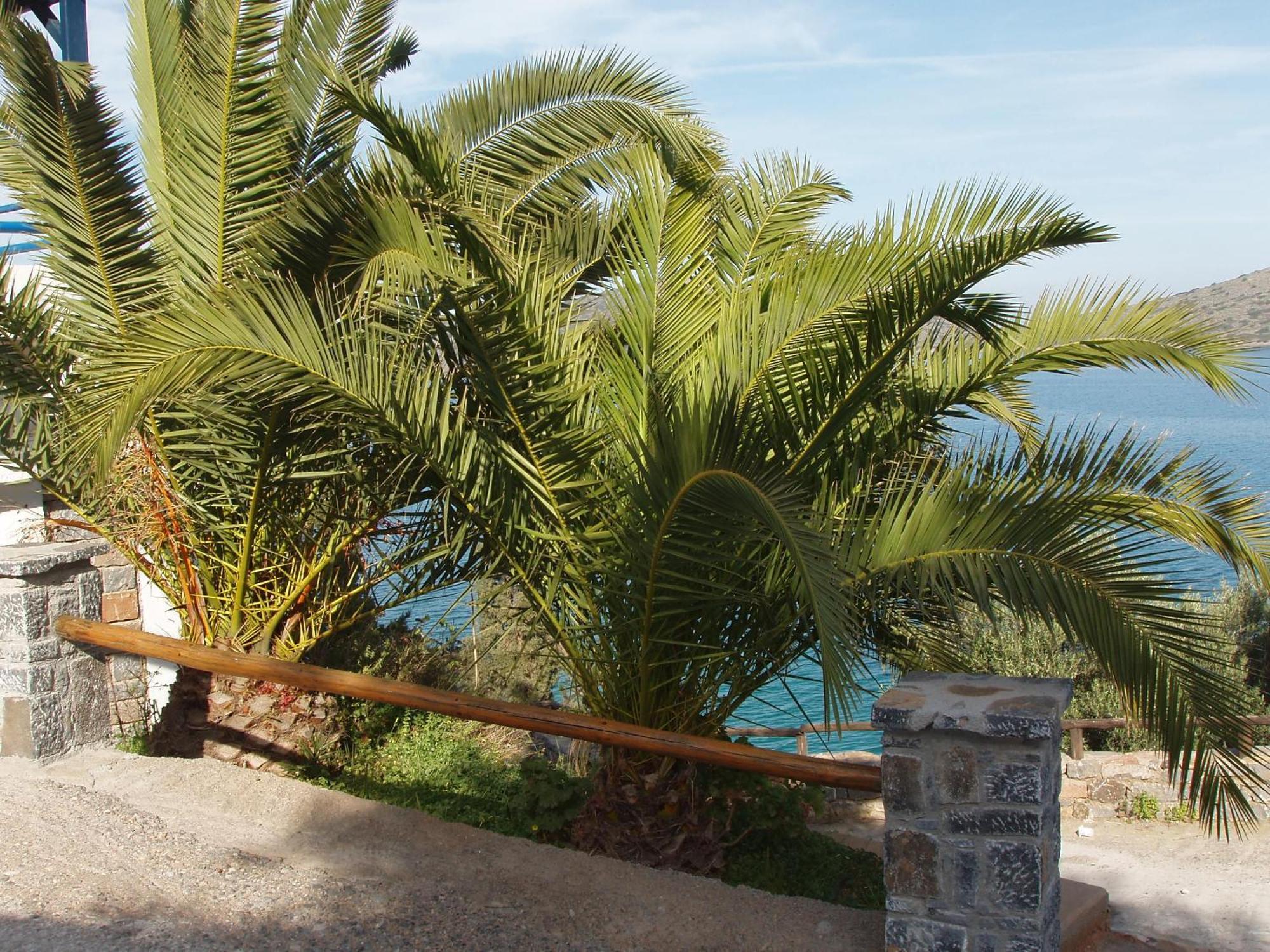 Kavos Bay Apartments Elounda Exterior foto